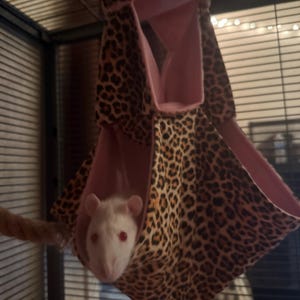 izabella added a photo of their purchase