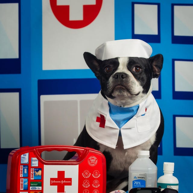 Krankenschwester-Hundehalstuch – Medizinisches Design Für Pfiffige Hunde, 45,7 X 45,7 Cm, Aus Polyester