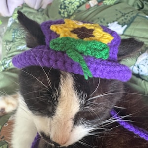Susan added a photo of their purchase