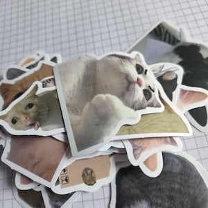 mikanii heeft een foto van de aankoop toegevoegd