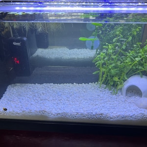 Isabella added a photo of their purchase