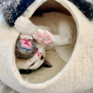 Luna added a photo of their purchase