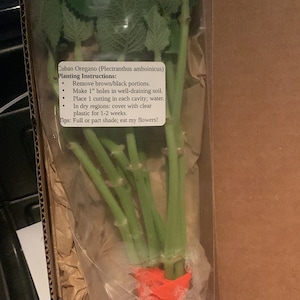 Alfredo added a photo of their purchase