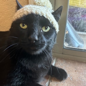 Susan added a photo of their purchase