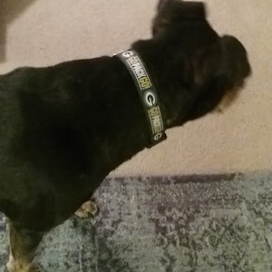 Pets collar 120cm nylon mascota perros correa nuevo lino cuello para Walking 6 color