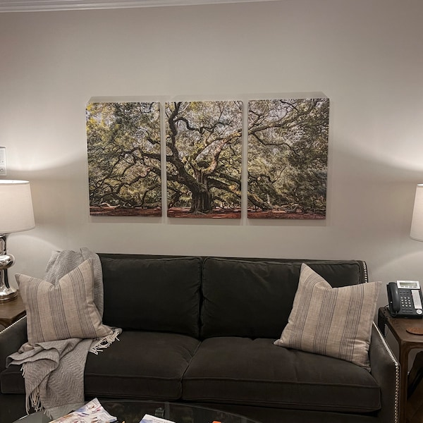 Monochrome Angel Oak Tree Canvas Wall Art