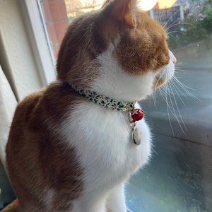 Kari added a photo of their purchase