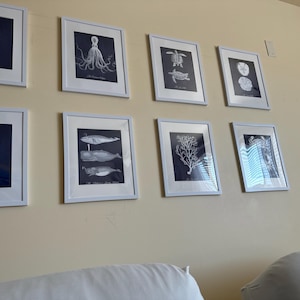 Susan a ajouté une photo de son achat
