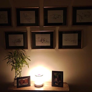 Shawna added a photo of their purchase