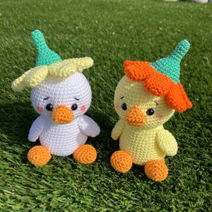 Nelissen added a photo of their purchase