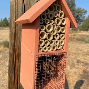 Joni added a photo of their purchase