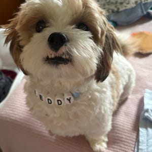 alutz4770 heeft een foto van zijn/haar aankoop toegevoegd