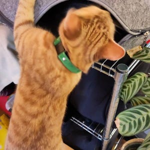 Justin added a photo of their purchase