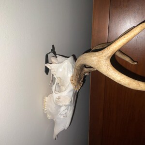 Jane added a photo of their purchase