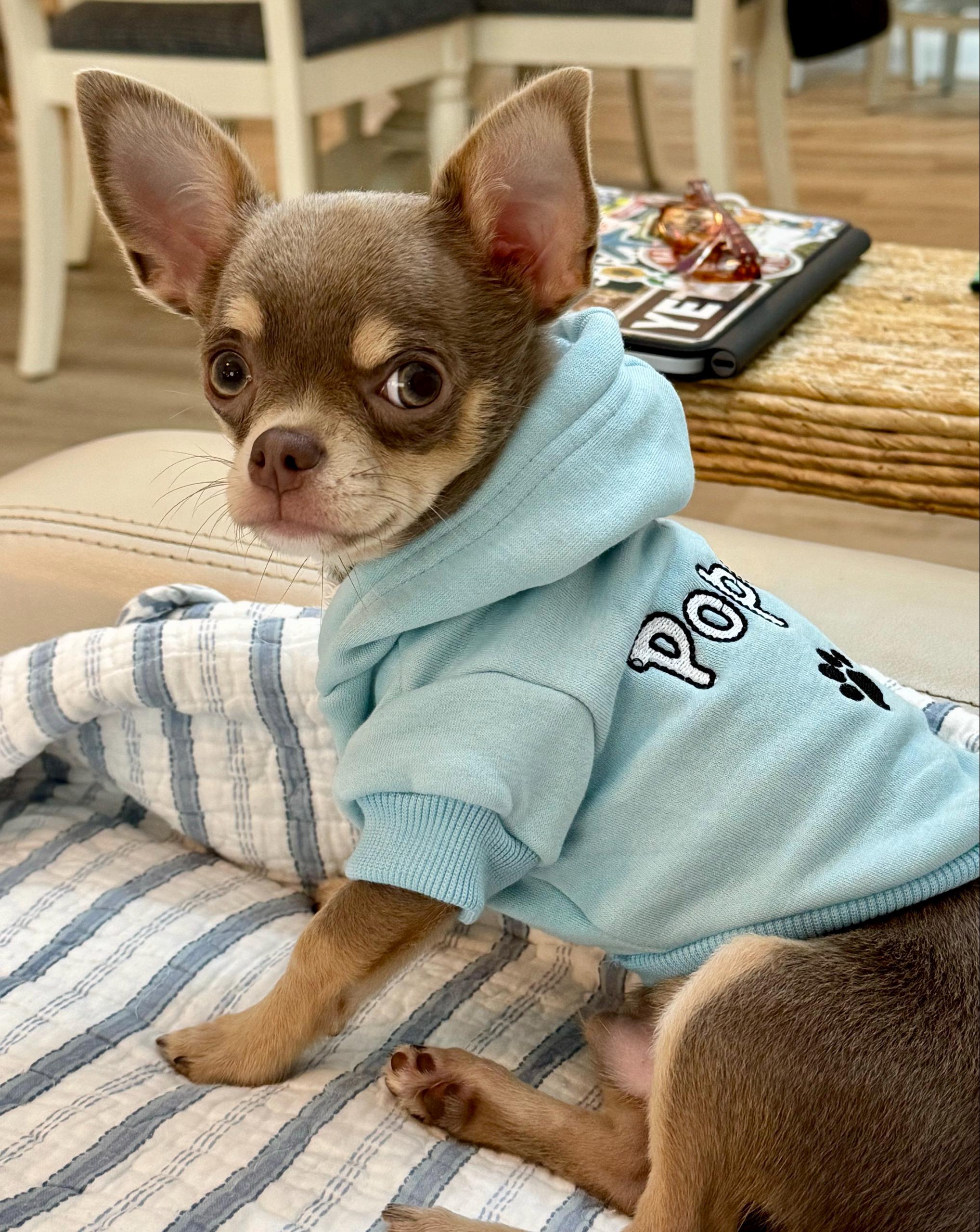 Personalized Dog Hoodie - Name Pet Hoodie - Personalized Dog Sweatshirt - Puppy Clothing - Personalized Dog Clothes - Outdoor Dog Coat