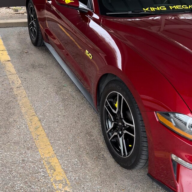 Autocollant Décalcomanie Tête De Mustang Sauvage