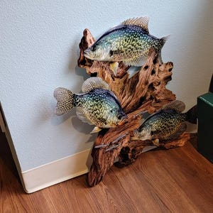Linda added a photo of their purchase
