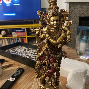 Aashritha added a photo of their purchase