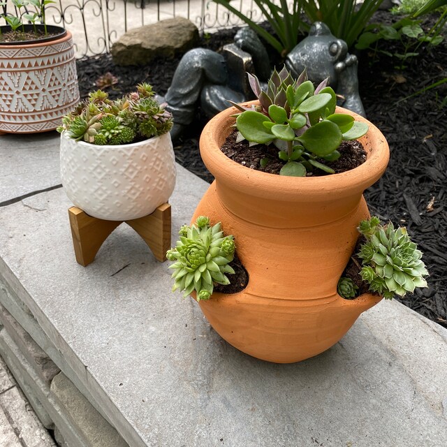 【正規取扱店】 Red Georgia Pottery Craven Clay Handmade Clay Strawberry LP3 工芸品