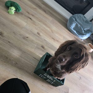 Rosh added a photo of their purchase