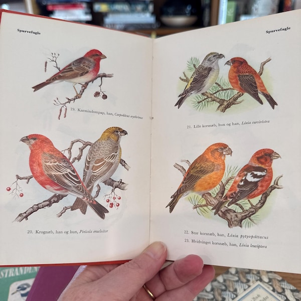 Image showcasing 25 Scandinavian Christmas Decor Ideas: Calm, Cozy & Minimal