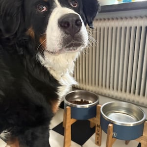 Double YETI Dog Bowls Stand, Raised Elevated Food Feeder, Feeding Station for YETI, RTIC - Bowl is not included.