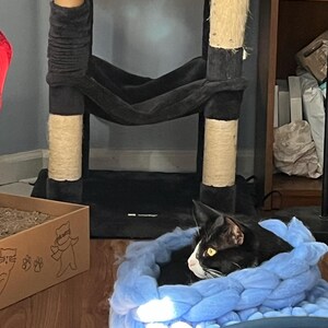 Wren added a photo of their purchase