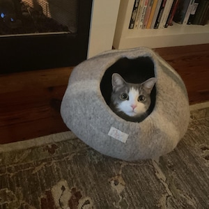 Gena added a photo of their purchase