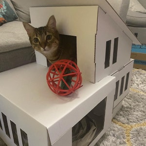 Charlotte added a photo of their purchase