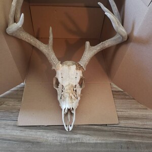 Valerie added a photo of their purchase