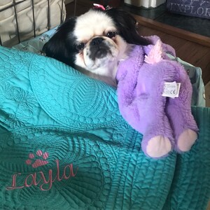 Joy added a photo of their purchase