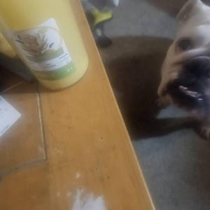 Susan added a photo of their purchase