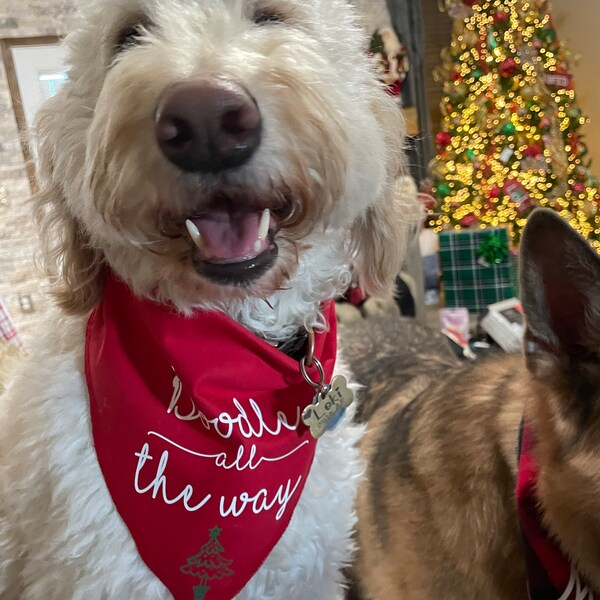 Doodle All the Way Dog Bandana - Etsy