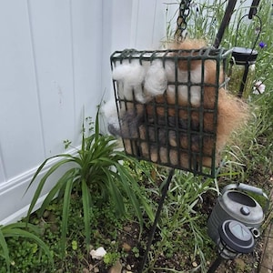 Kim added a photo of their purchase