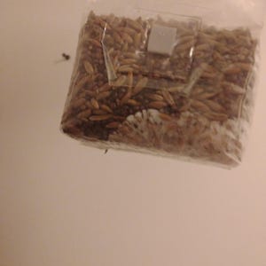 Adam added a photo of their purchase
