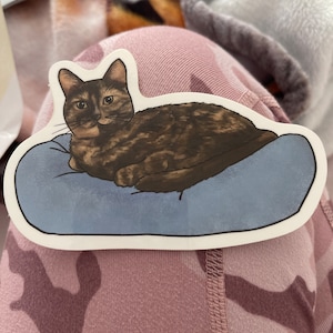 Tammy added a photo of their purchase