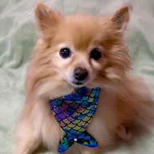 Roxana hat ein Foto des gekauften Artikels hinzugefügt