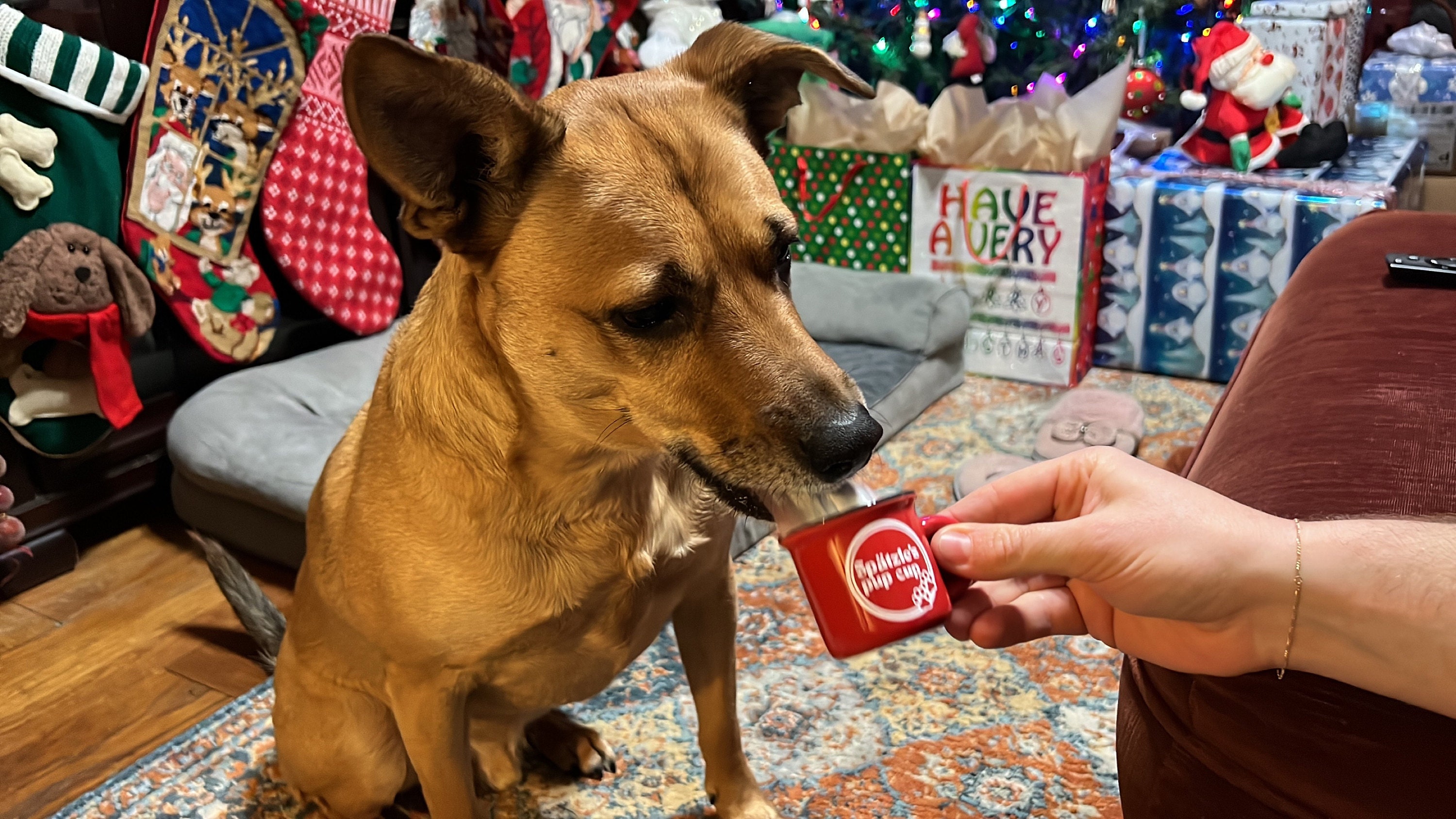 ❤️Buy 2 FREE SHIPPING❤️ Reusable Pup Cup | Custom Puppuccino Mug | Dog Mom Gift | 2oz Personalized Pup Cup Mug