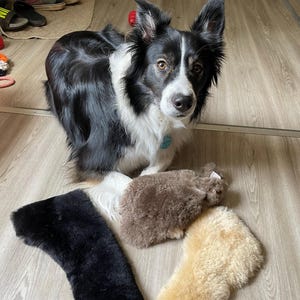 joshua added a photo of their purchase