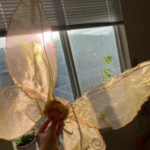 Rhiannon added a photo of their purchase