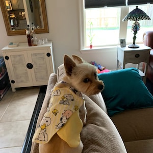 Audrey added a photo of their purchase