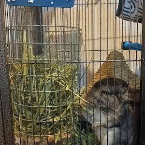 Nory added a photo of their purchase