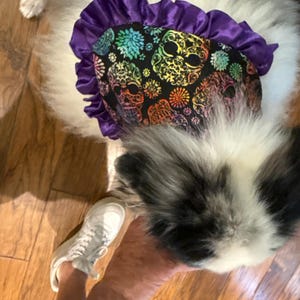 Lisa heeft een foto van zijn/haar aankoop toegevoegd