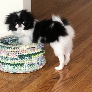 Sara added a photo of their purchase