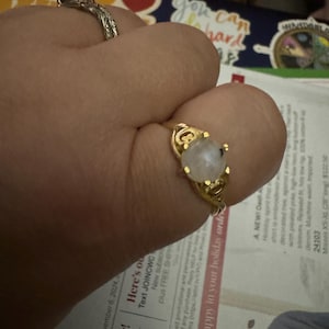 Laura added a photo of their purchase
