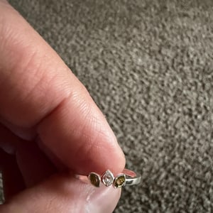 Mickey added a photo of their purchase
