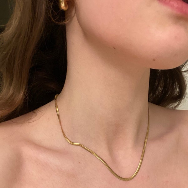 Minimal Snake Pendant Necklace for Women – Trendy Gold Chain Choker for Spring & Summer Looks main image 1