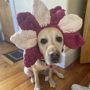 Grace added a photo of their purchase