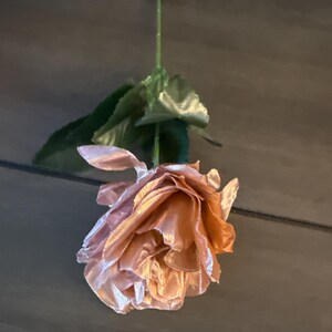 Ashley added a photo of their purchase