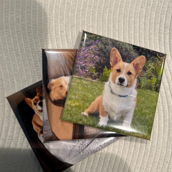 Custom Photo Magnets, Fridge Decal, Fridge Magnets, Personalized ...